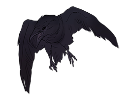 crow"